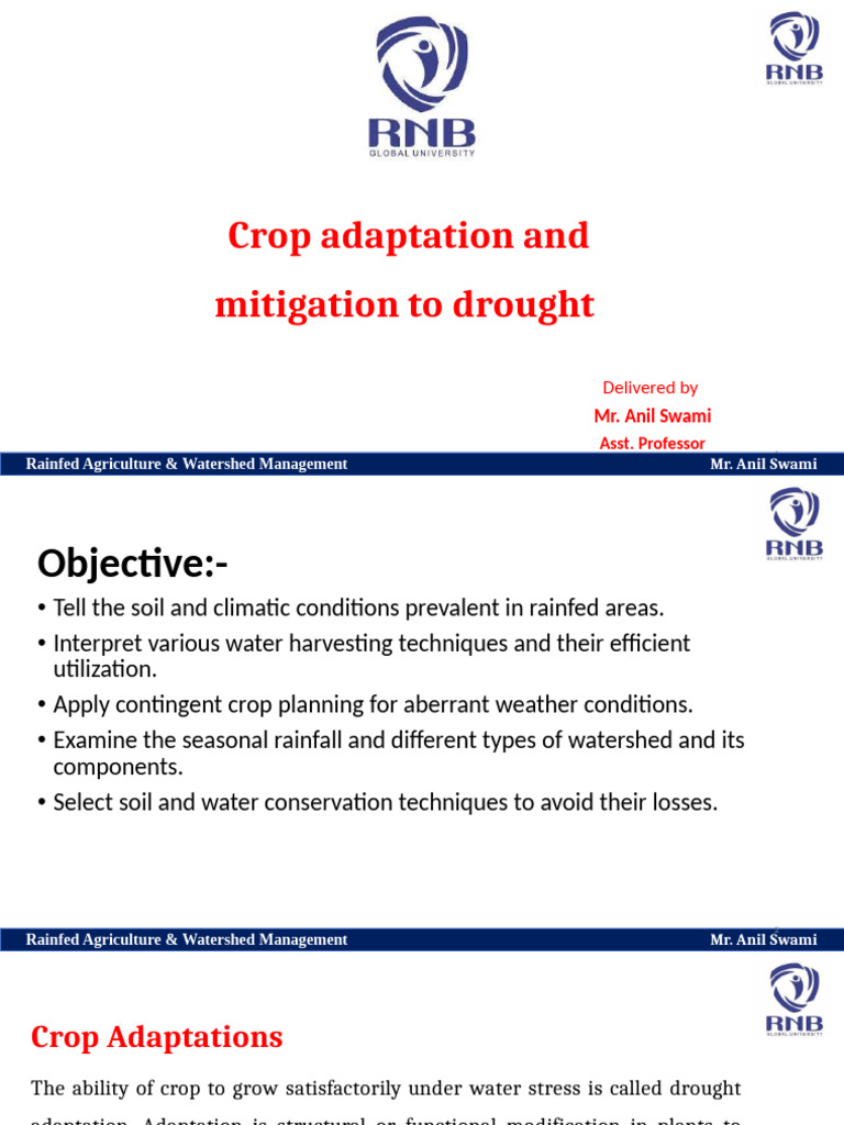Drought Adaptation in Rainfed Agriculture | PDF | Drought | Agriculture