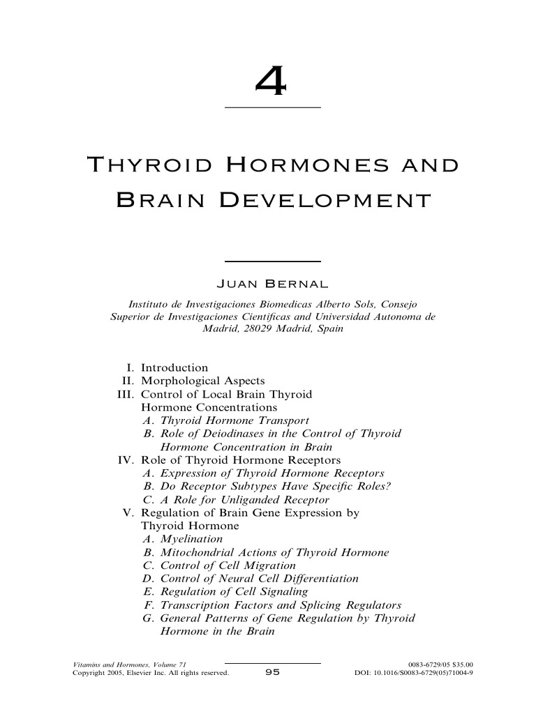 Thyroid Hormones' Impact on Brain Development | PDF | Cerebellum | Thyroid