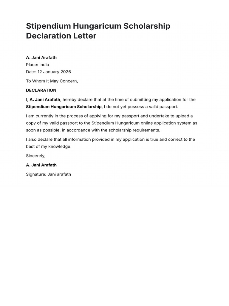Declaration Missing Passport | PDF