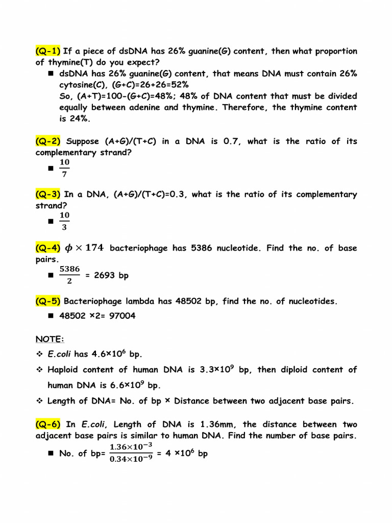 Numericals On DNA Structure | PDF