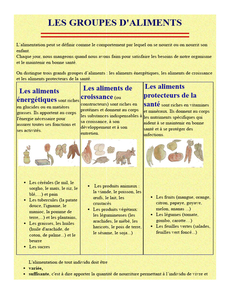 Groupes d'aliments et nutrition saine | PDF | Nourritures
