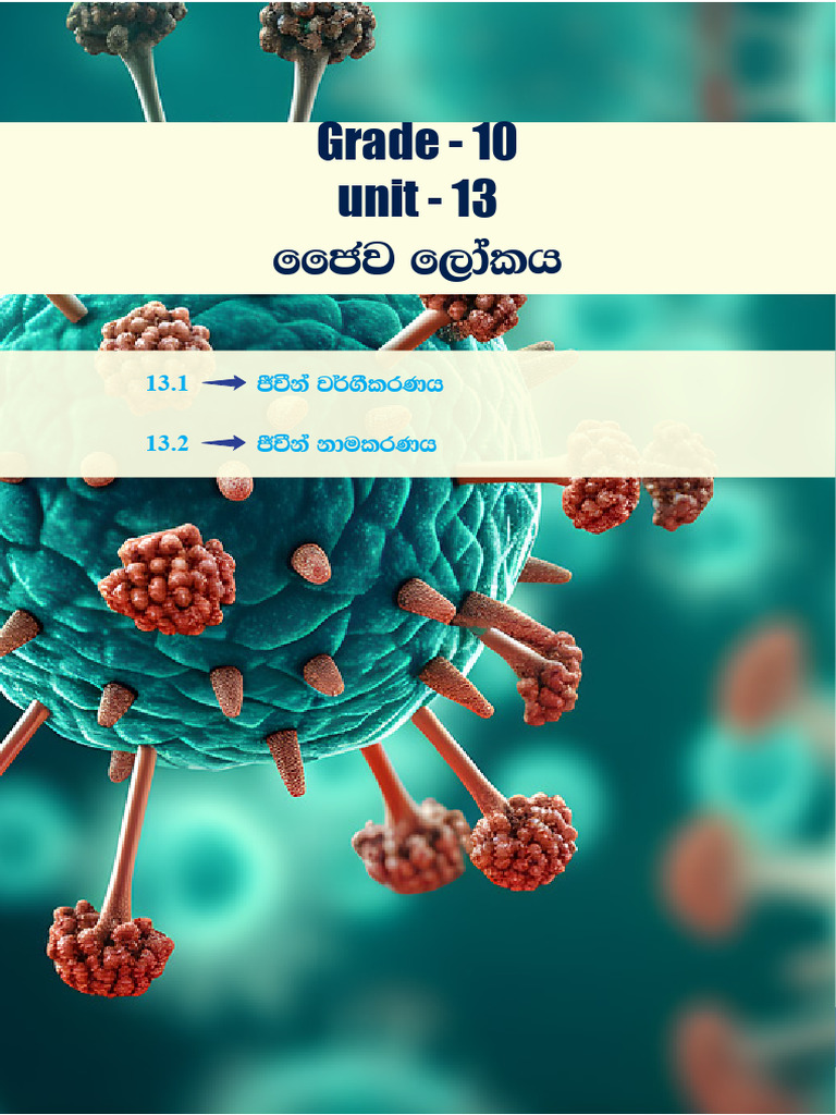 Grade 10 Science Unit 13 Overview | PDF