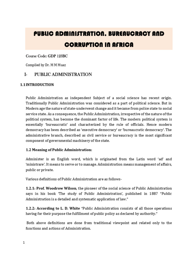 Public Administration and Bureaucracy in Africa | PDF | Bureaucracy ...