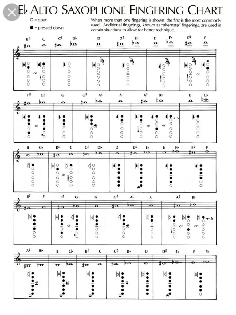 Finger Chart | PDF