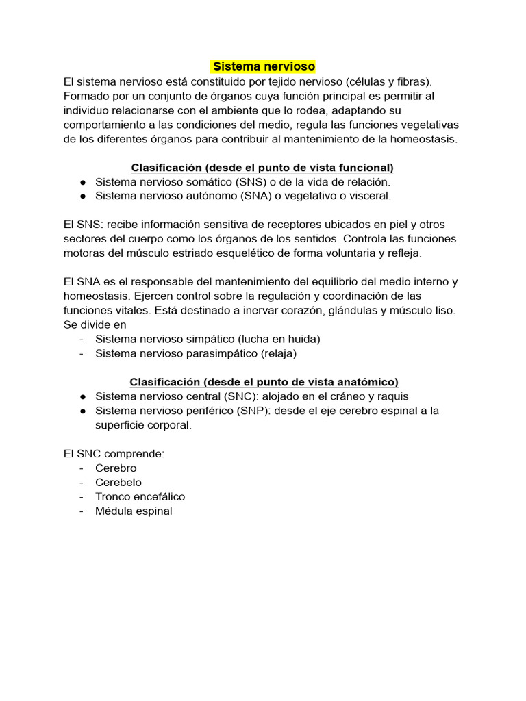 Estructura y Función del Sistema Nervioso | PDF | Cerebelo | Médula espinal