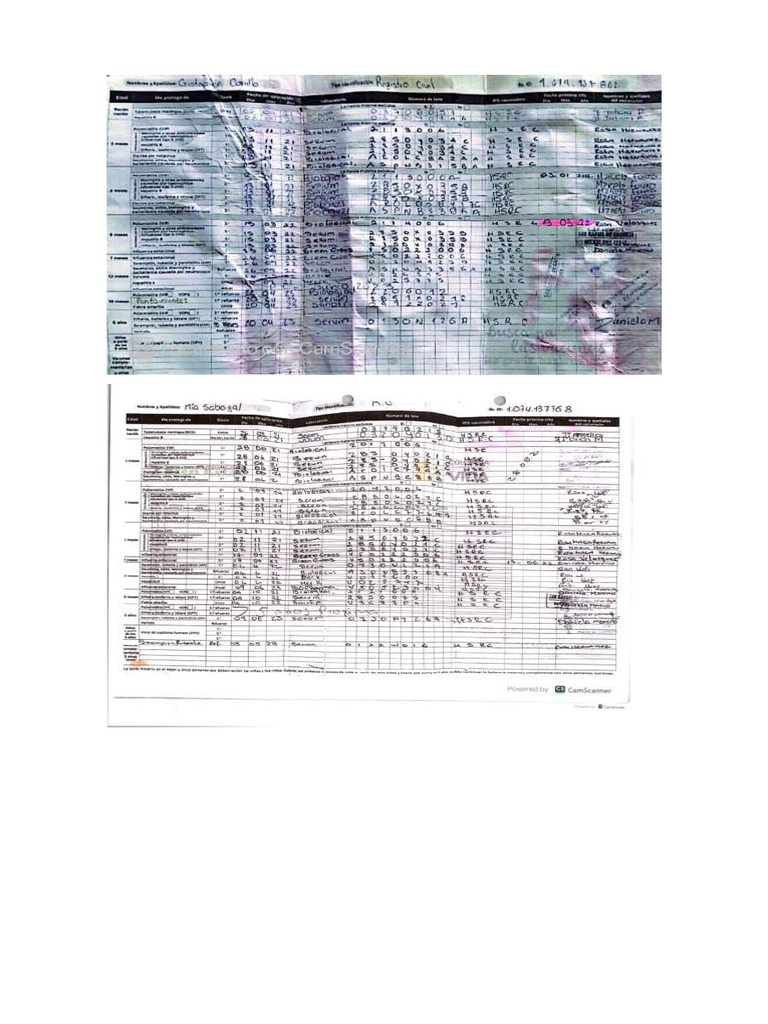 Anexo 4 | PDF