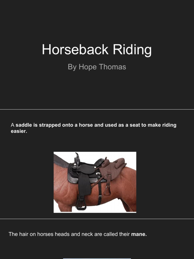 Horseback Riding Terms | PDF