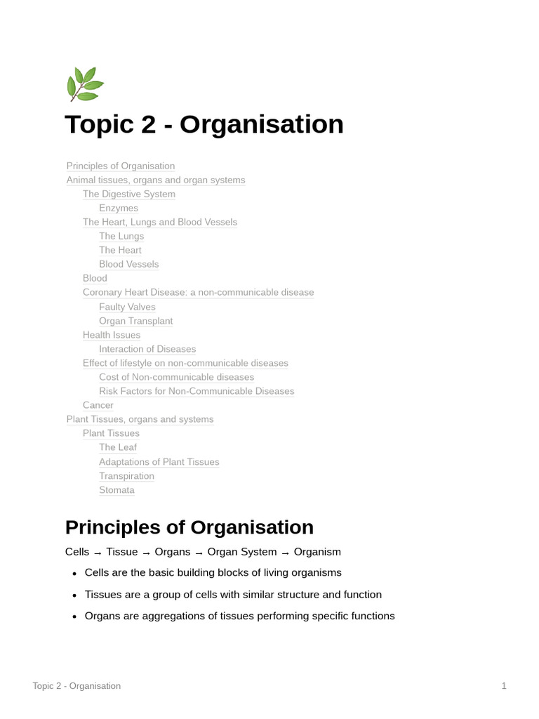 Topic 2 - Organisation | PDF | Artery | Atrium (Heart)