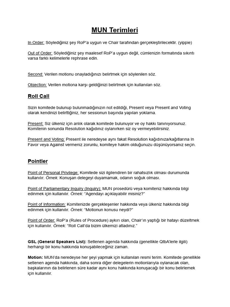 MUN Terms | PDF