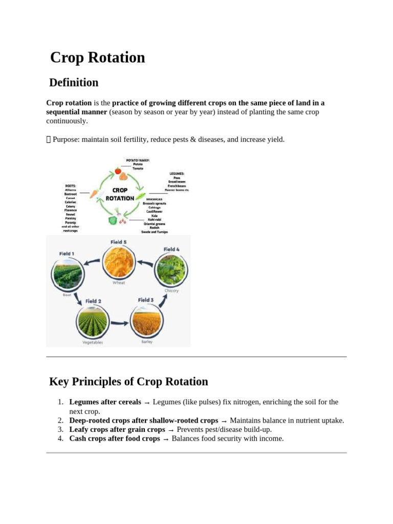 Crop Rotation (b) 2019 | PDF | Crop Rotation | Legume