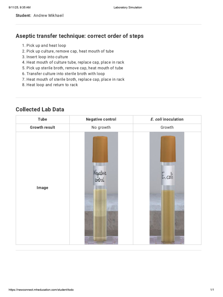 Virtual Lab_ Aseptic Technique - Broth Culture to Sterile Broth | PDF