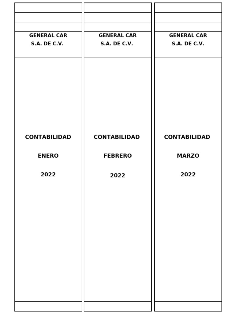 Reportes Contables de General Car 2022 | PDF