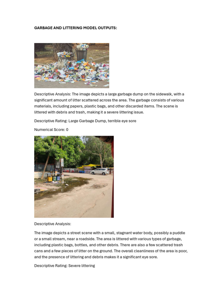 Garbage and Littering Analysis Report | PDF | Debris | Waste