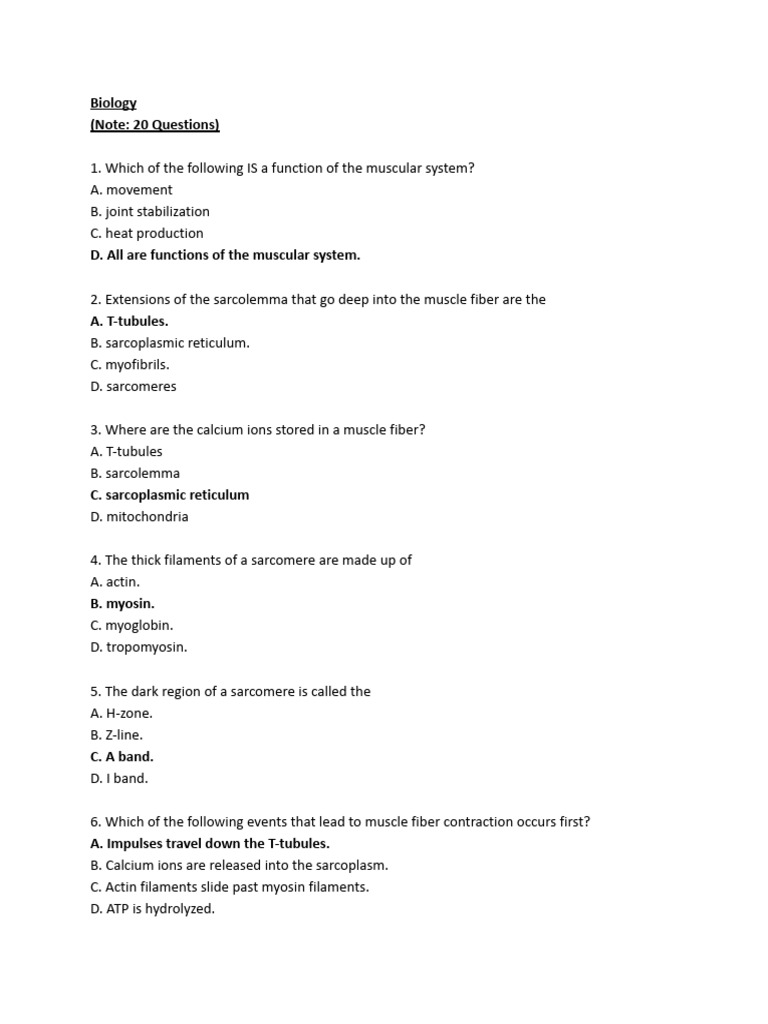 Muscle System Function Quiz | PDF | Muscle Contraction | Skeletal Muscle