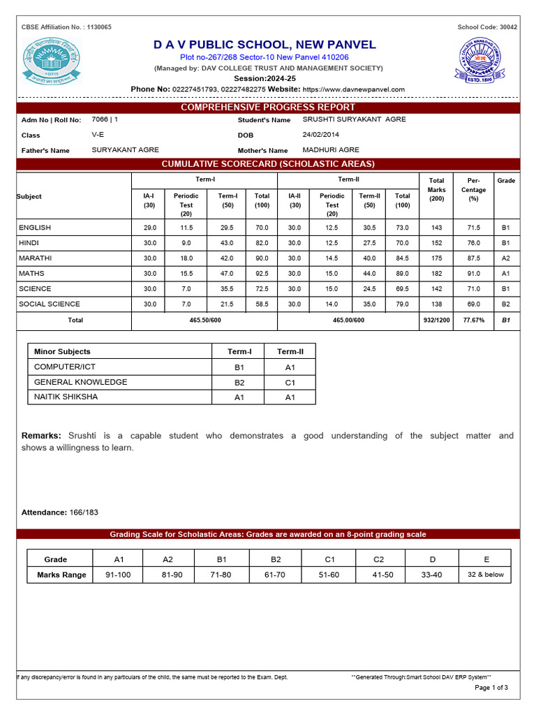 DAV Public School Progress Report 2024-25 | PDF | Thought | Critical ...