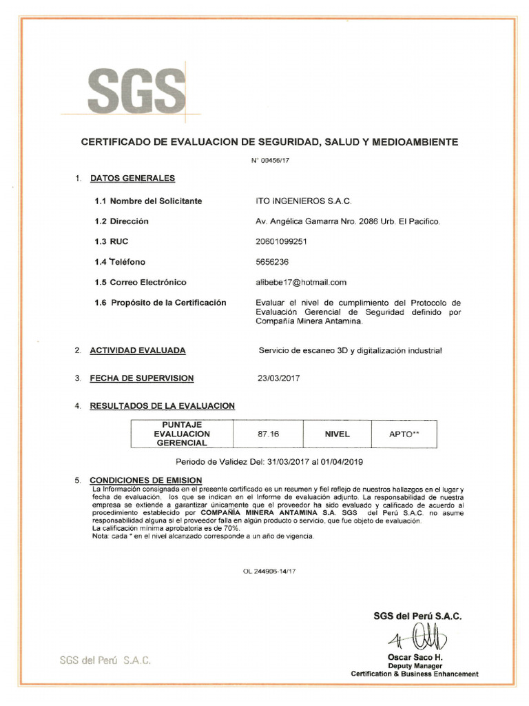 #17.3 Auditoria Sgs | PDF