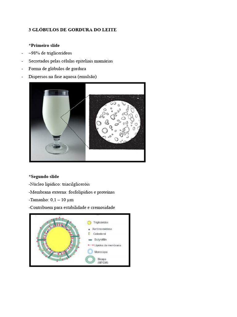 Estrutura e Função dos Glóbulos de Gordura do Leite | PDF