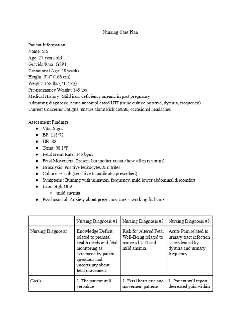 Nursing Care Plan for Pregnant UTI Patient | PDF | Urinary Tract ...