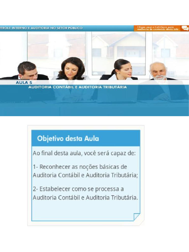 Controle Interno e Auditoria No Setor Público 5 e 6 | PDF