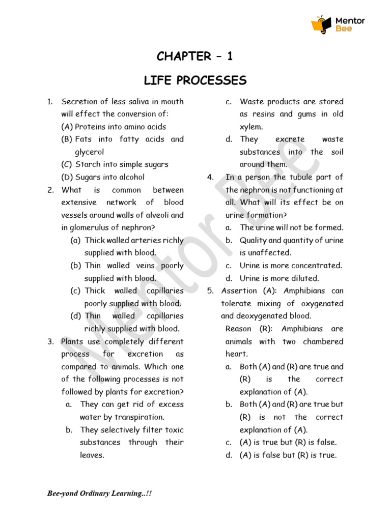 Life Processes in Biology: Key Concepts | PDF | Circulatory System ...
