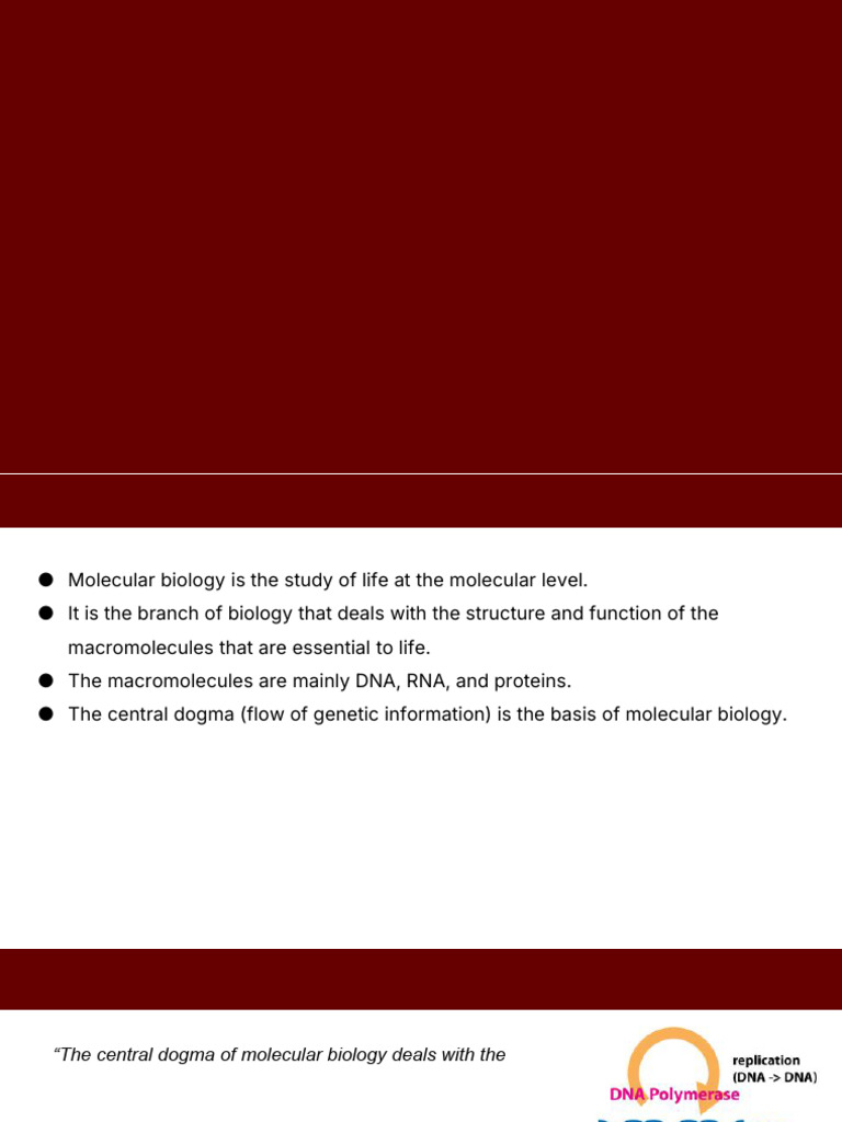 Slides For CT 1 | PDF | Dna | Nucleic Acid Thermodynamics