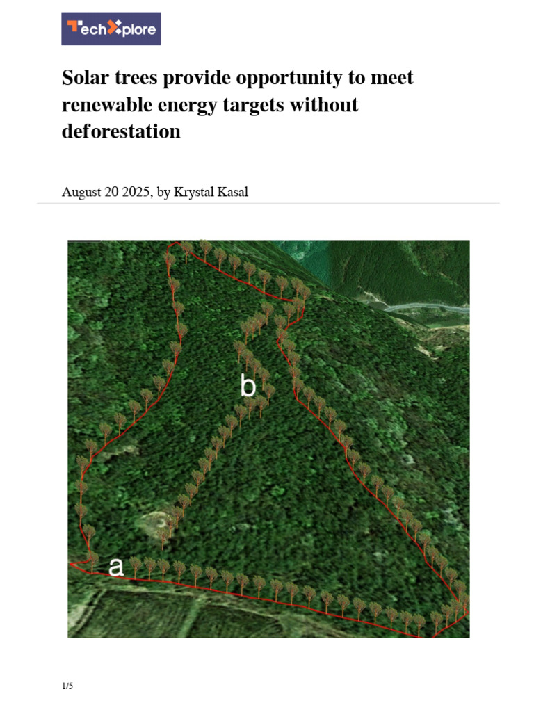 2025 08 Solar Trees Opportunity Renewable Energy | PDF | Renewable ...