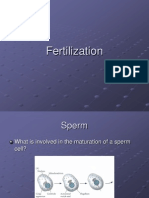 Fertilization