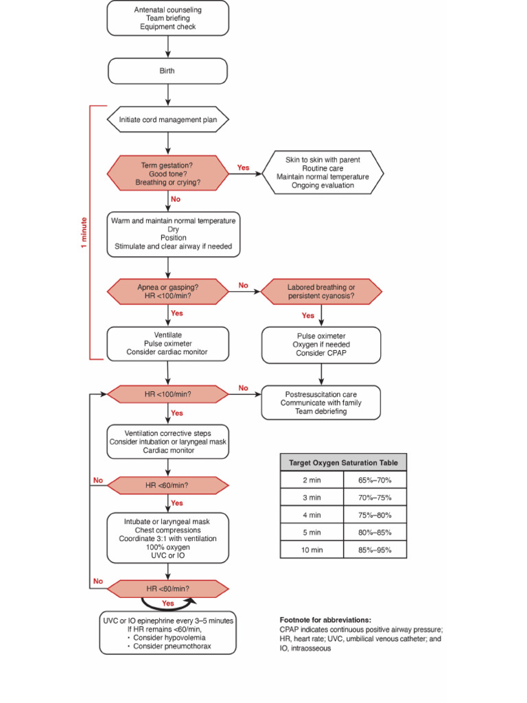 NRP Algorithm | PDF