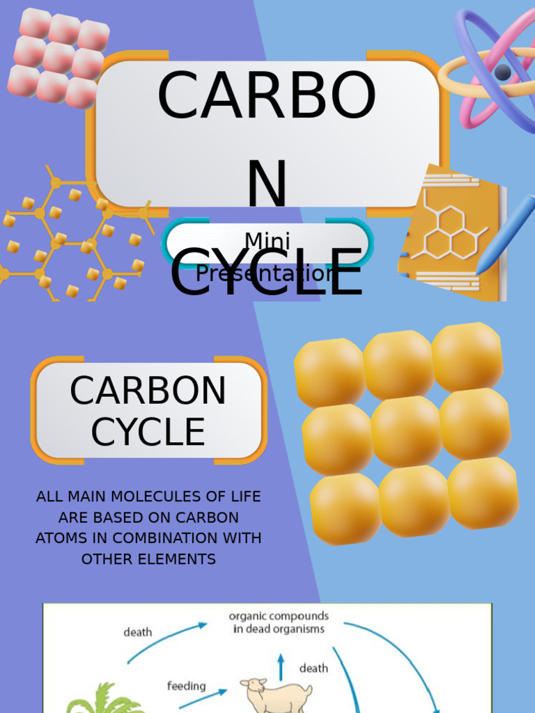 Carbon Cycle and Global Warming | PDF