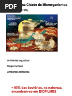 biofilme