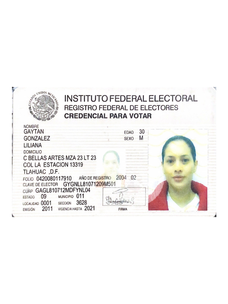 Instituto Federal Electoral | PDF