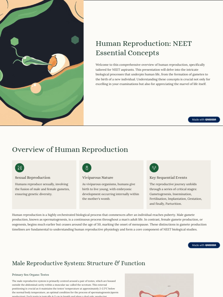 NEET Guide to Human Reproduction | PDF | Menstrual Cycle | Lactation