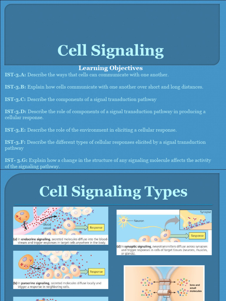 Understanding Cell Signaling Pathways | PDF | Cell Signaling | Signal ...