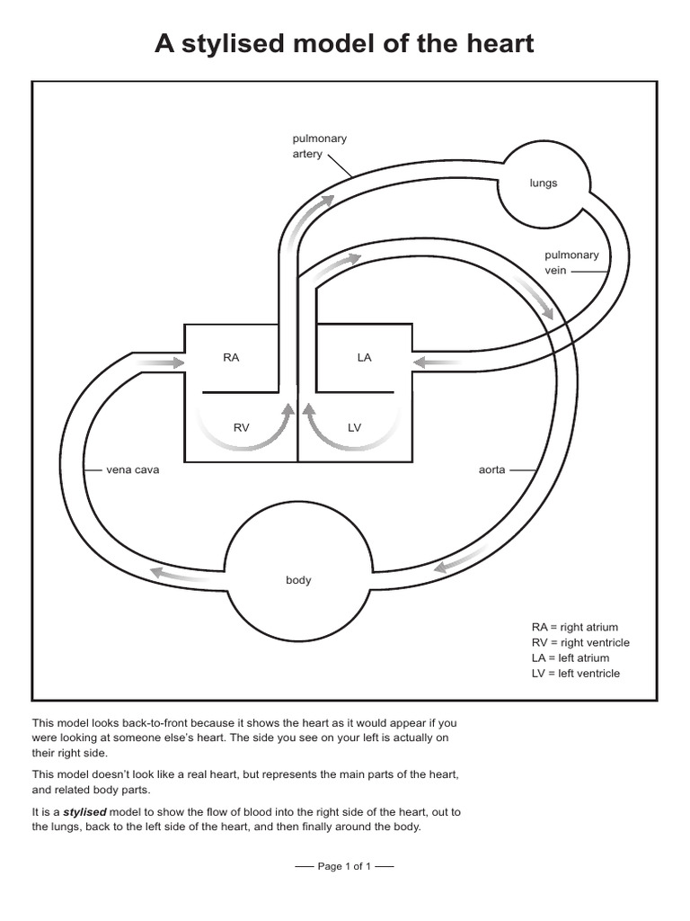 Stylized Heart Model Overview | PDF