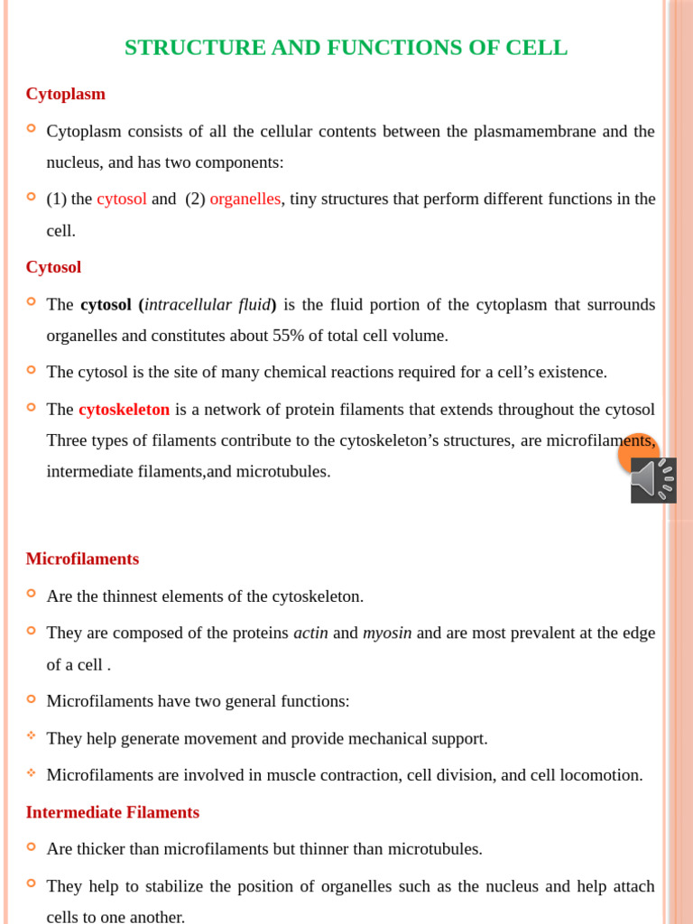 Structure and Functions of Cell | PDF | Cytoskeleton | Endoplasmic ...