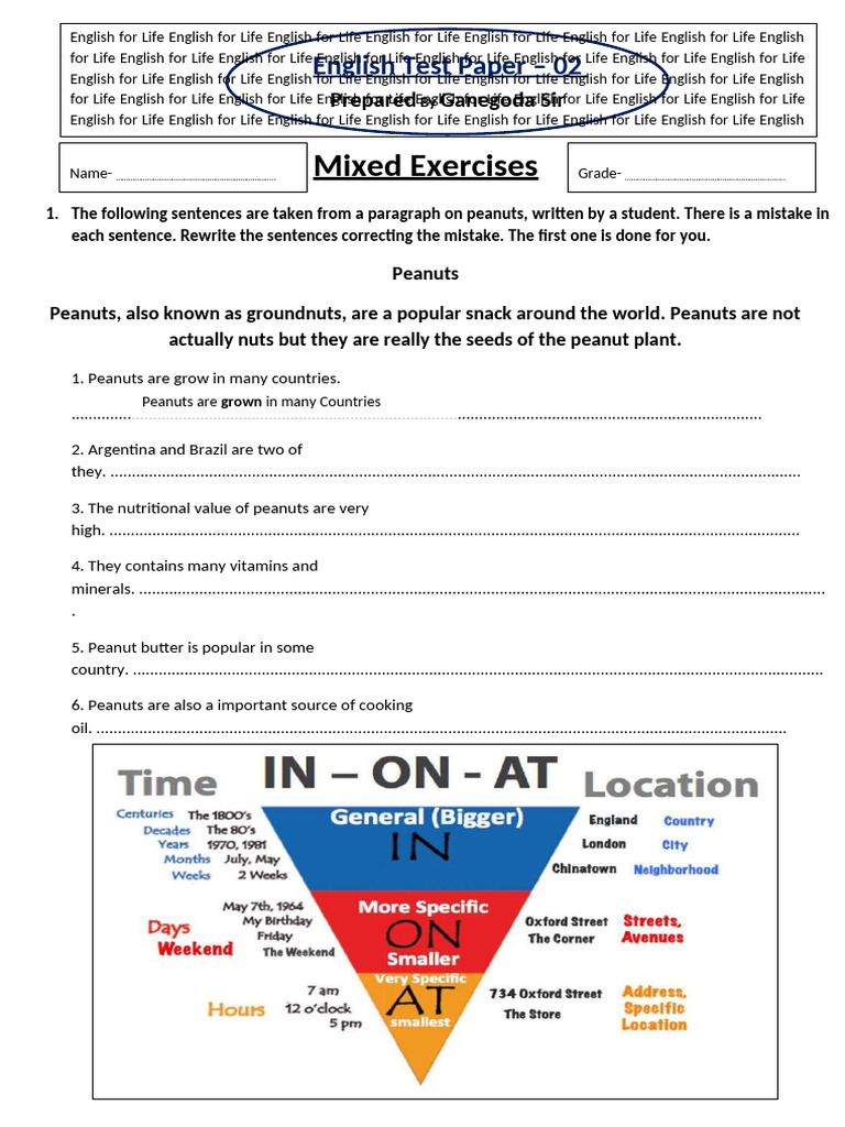 Mixed Exercises | PDF | Peanuts
