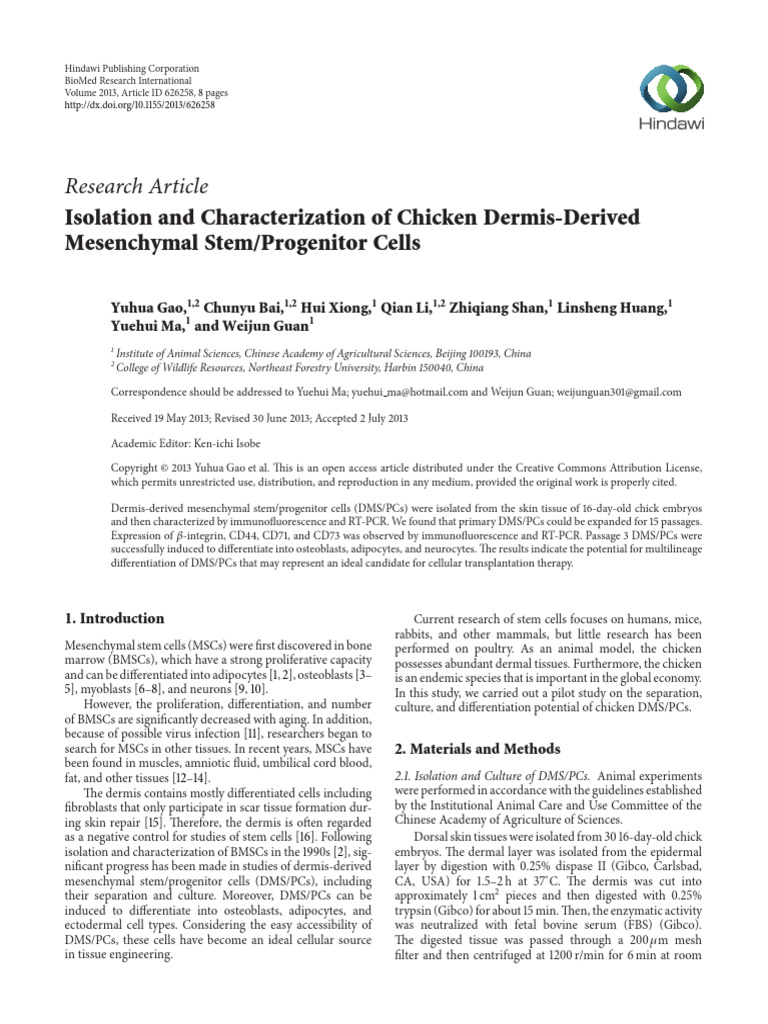 Isolation and Characterization of Chicken Dermis-Derived Mesenchymal ...