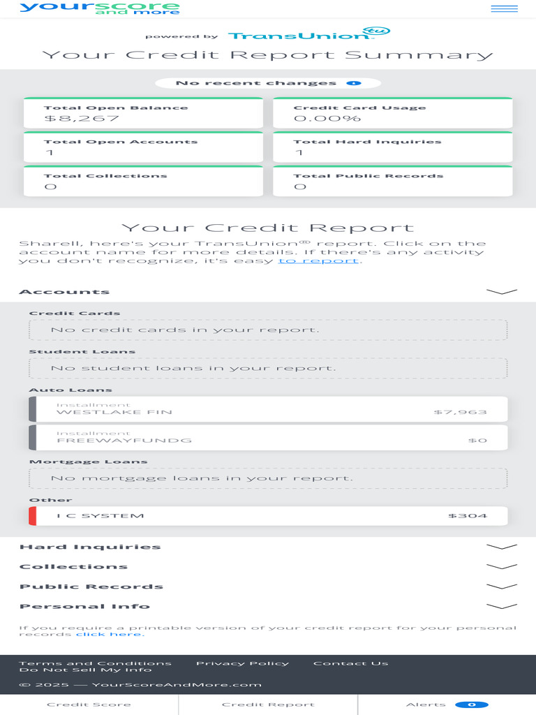 Credit Report Summary Overview | PDF