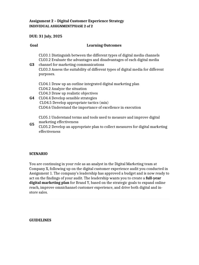 DM Assignment 2 2025 | PDF | Digital Marketing | Marketing