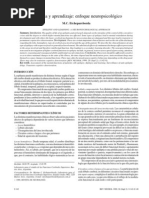 Epilepsia y Aprendizaje