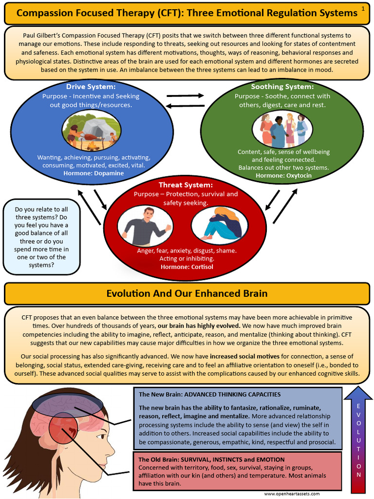 Understanding Compassion Focused Therapy | PDF | Compassion | Suffering