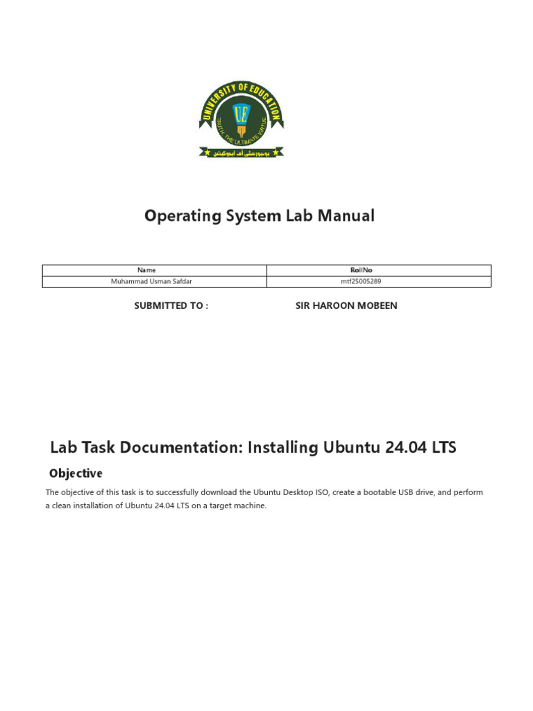 UsmanLab1OS (1) | PDF | Booting | Usb Flash Drive