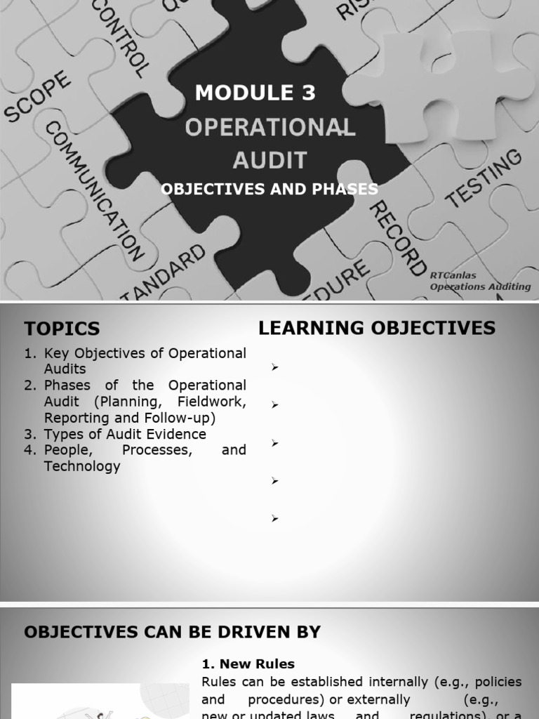 Inbound 7626701567861614802 | PDF | Audit | Internal Audit