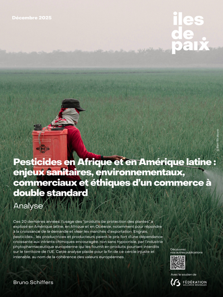 L'héritage de la traite transatlantique et les flux culturels
