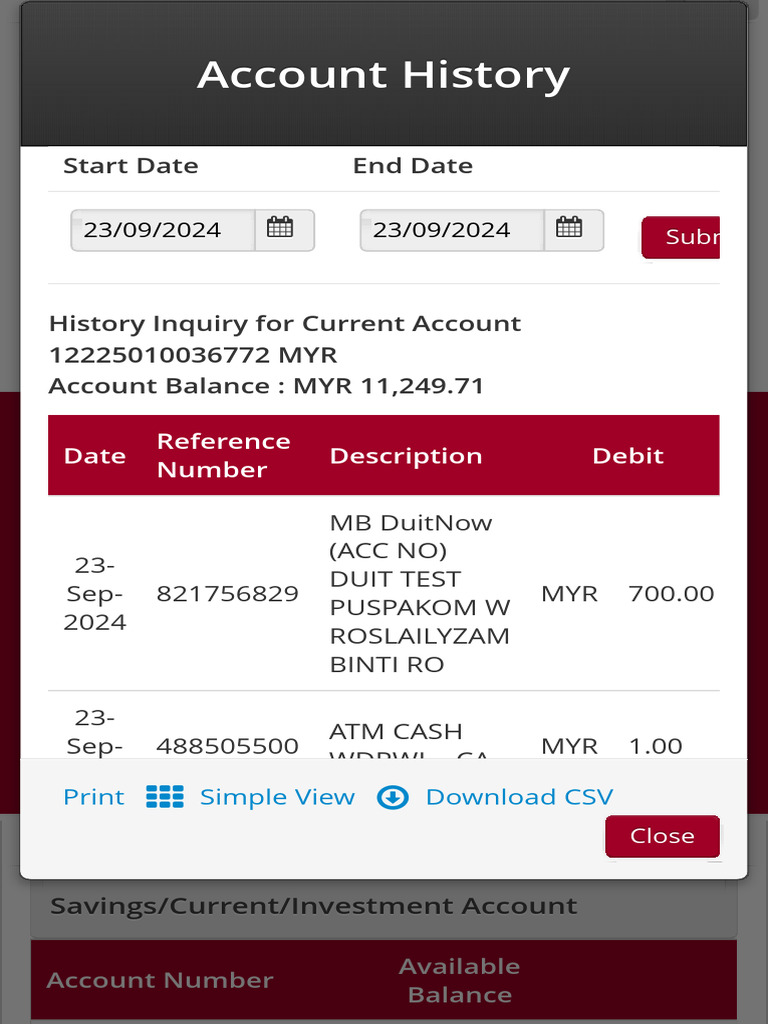 Current Account Balance Inquiry | PDF