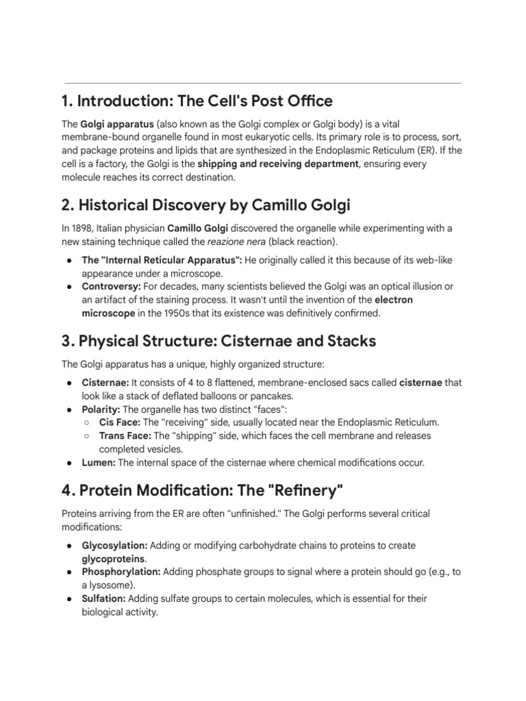 Golgi Apparatus: Cell's Protein Processor | PDF | Endoplasmic Reticulum ...
