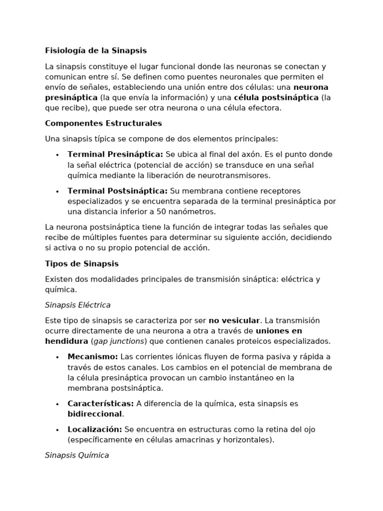 Fisiología y Tipos de Sinapsis Neuronal | PDF | Sinapsis | Sinapsis química