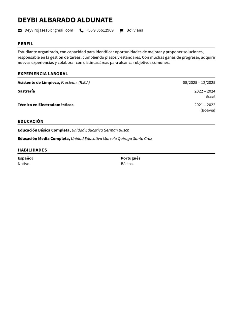 Deybi Albarado Aldunate Flowcv Resume 20260103 | PDF