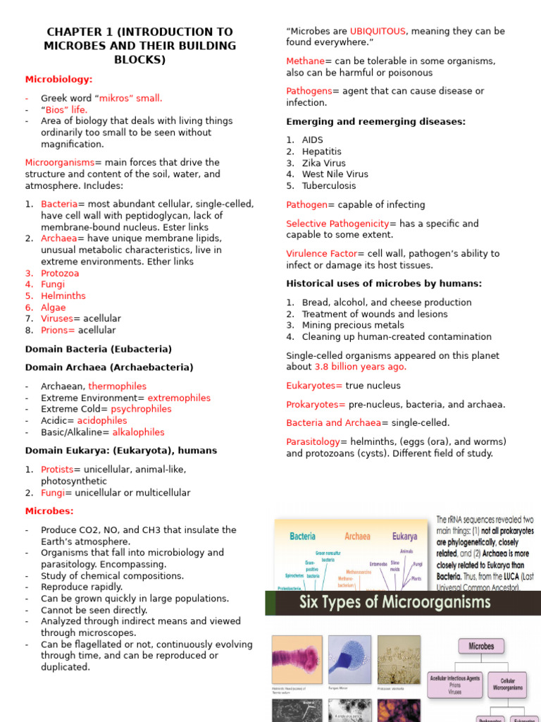 Introduction to Microbes and Their Roles | PDF | Cell (Biology) | Archaea