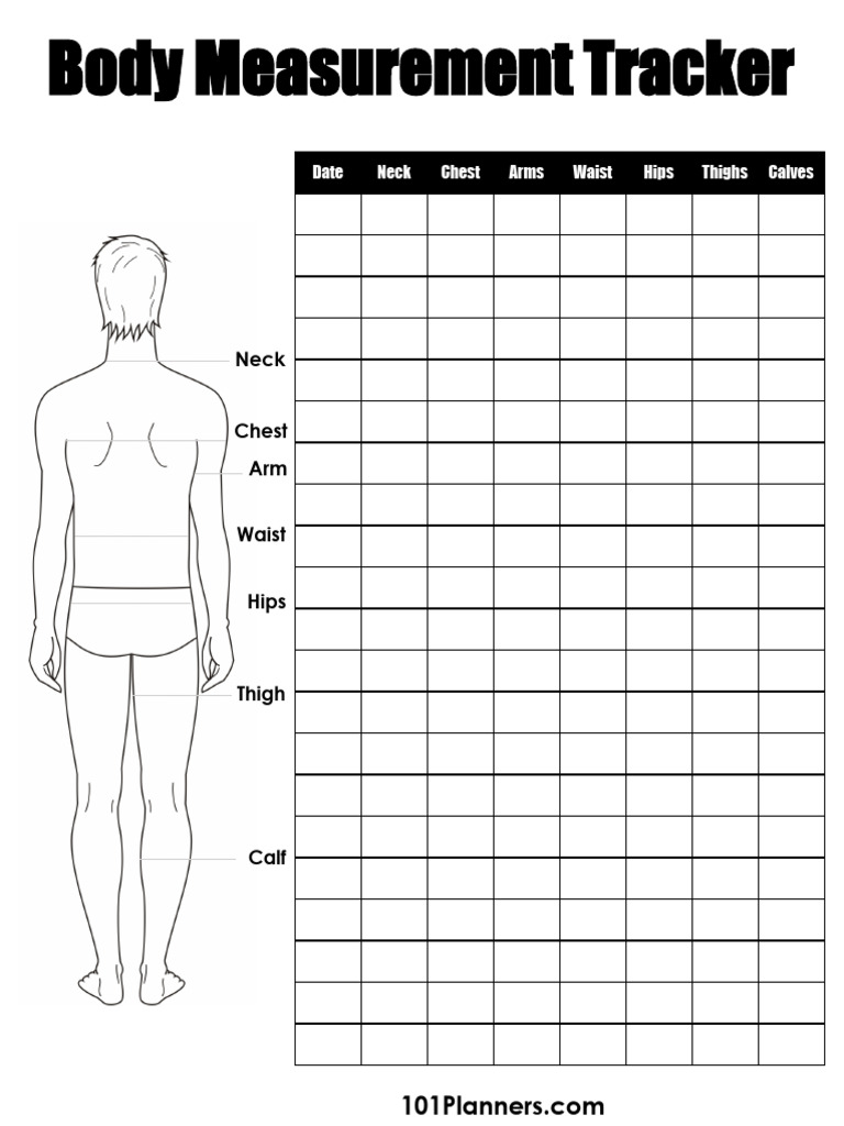 Body Measurement Tracker Template | PDF